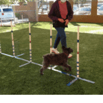 Intro to Agility