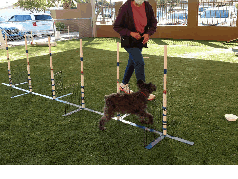Intro to Agility