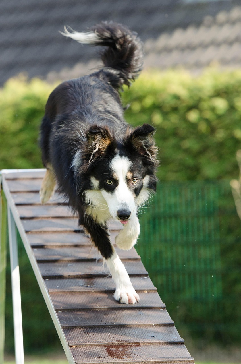 Urban Agility